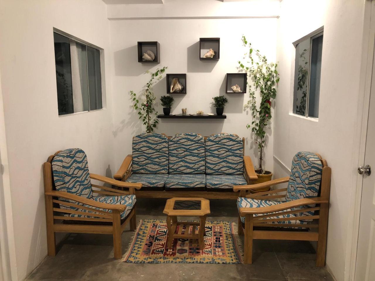 Buganvilia Paracas Luaran gambar
